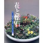  цветок .. камень / Kudo мир .,.. остров .[ работа ], после ..[ фотография ]