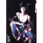 do-dai？ 酒井若菜フィギュア付き写真集/酒井若菜,渡辺達生