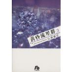 黄昏流星群(文庫版)(3) 小学館文庫/弘兼憲史(著者)