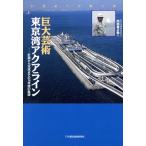 21 век к подарок огромный искусство Tokyo . aqua линия план из готовый до. 16 лет. траектория / внутри рисовое поле ...
