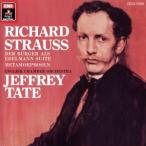 R.shu тигр незначительный : оркестровая музыка сборник / Tey to