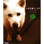 キセキの犬ユキ 2003.1.14AM/ジュリアン出版【編】