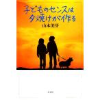  ребенок. чувство. . выгорание . произведение ./ Yamamoto прекрасный .[ работа ]