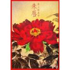 ../ Inoue . прекрасный .[ работа ]