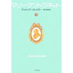  Marie * Anne towa сеть ( внизу ) Hayakawa Bunko NF317/ Anne tonia*f Ray The -( автор ),. средний ..( перевод человек )