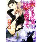  запрет ...... падение Kadokawa Ruby Bunko / олень ..[ работа ]