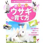  симпатичный заяц. .. person select BOOKS/ холм ...[..]