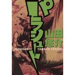 pala Shute / гора рисовое поле ..( автор )