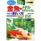  золотая рыбка *me Dakar *otamaja расческа и т.п.. .. person /...( автор )