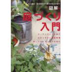  иллюстрация двор ... введение /... жизнь фирма 