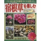 宿根草を楽しむ/坂本立弥(著者)　