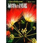  растения. иллюстрированная книга Shogakukan Inc.. учеба различные предметы иллюстрированная книга 1/ Shogakukan Inc. 