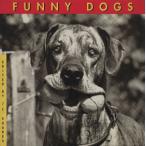 FUNNY DOGS/J.C.s одежда -z( автор )