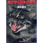 .... японский . сырой юг. страна Shueisha Bunko / скала . добродетель свет ( автор )