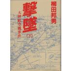 ..( внизу ) большой . самолет . раз /. рисовое поле . мужчина ( автор )