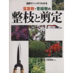  листопадные растения * вечнозеленое дерево. целый ветка . обрезка / река . рисовое поле ..( автор )