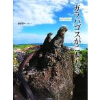  Galapagos .. трещина ./ Fujiwara . один [ фотография * документ ]