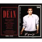  Dean / Takarazuka ... цветок комплект 