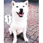 shi... собака kai kun. ...../ Yoshimura весна море [ фотосъемка ]