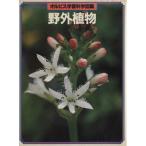 野外植物/大場達之(著者)　