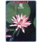 花 (園芸植物) オルビス学習科学図鑑/伊東正(著者)　