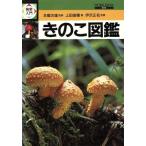 ki. . иллюстрированная книга / сверху рисовое поле ..( автор )
