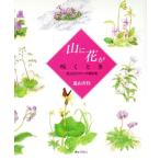  гора . цветок ... время /. гора . ветка ( автор )