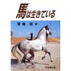  лошадь. сырой ..../. мыс .( автор )