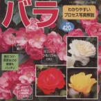 バラ わかりやすいプロセス写真解説 プチブティックシリーズ355/フラワー・デザイン　