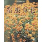  каждый год цветок ... корень . цветок отдельный выпуск NHK хобби. садоводство / Япония радиовещание выпускать ассоциация ( сборник человек )