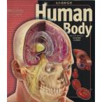 hito. из ./L.kala пятно si( автор ), Sakura ...( автор )