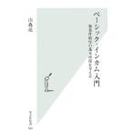 ベーシック・インカム入門 無条件給付の基本所得を考える 光文社新書/山森亮(著者)