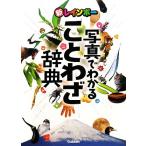 新レインボー 写真でわかることわざ辞典/学習研究社