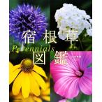 . корень . иллюстрированная книга Perennials/ Yamamoto ..( автор )