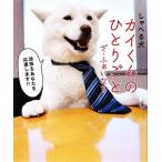 shi... собака kai kun. ......*... становится / больше рисовое поле . правильный [ фотосъемка ]