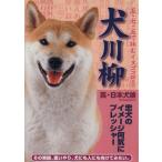  собака сэнрю подлинный * Япония собака теория / хобби * устройство на работу гид * квалификация 