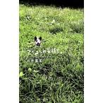 ブイヨンの気持ち。 ほぼ日ブック�