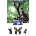  insect new pocket version Gakken. illustrated reference book 1| hill island preeminence .( author )