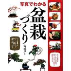  фотография . понимать бонсай .../ час мыс толщина [..]