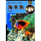  морская рыба новый yama Kei карман гид 8/ Yoshino самец .[ работа ]