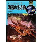 海辺の生き物 新ヤマケイポケットガイド9/小林安雅【著】