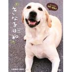 ki.. день мир zukkoke видеть .. полиция собака / круг черепаха полиция собака тренировка место [..]