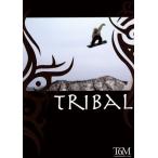 TRIBAL/ спорт 