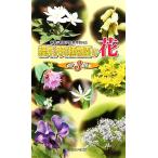  легкий .. блок растения .. цветок ( no. 3 сборник )/ легкий .. блок образование комитет [ сборник ]