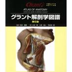  gran to анатомия map ./ склон .. самец ( автор )