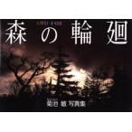  лес. колесо вокруг . Кода * 10 мир рисовое поле / Kikuchi .( автор )