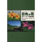  солнечный свет. цветок цветок треккинг мобильный иллюстрированная книга / маленький криптомерия страна Хара ( автор ), Aoyama .( автор )