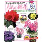 人気の鉢花Q&A/主婦の友社(著者)