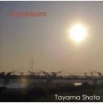 day dream/ рисовое поле гора sho futoshi 