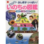 i. .. иллюстрированная книга .... много!/.....